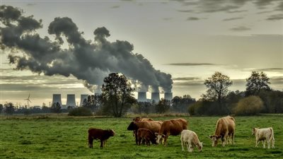 يتسبب في وفاة 400 ألف شخص سنويًا.. الجارديان: 98% من الأوروبيين يتنفس هواء ملوثًا