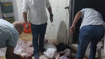 ضبط نصف طن لحوم مفرومة وأجزاء دواجن غير صالحة للاستهلاك الآدمي بالمنوفية