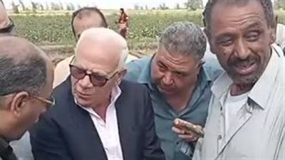 بحضور المحافظ.. بدء حصاد محصول الأرز ببورسعيد | بث مباشر