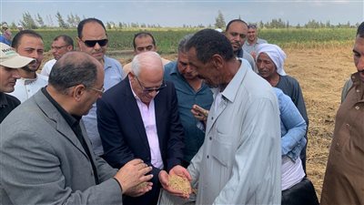 محافظ بورسعيد يشهد موسم حصاد الأرز.. والمزارعون: الخير مالي الأرض| صور