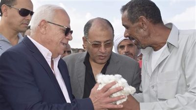 زراعة 2686 فدانا من القطن ببورسعيد | صور وفيديو