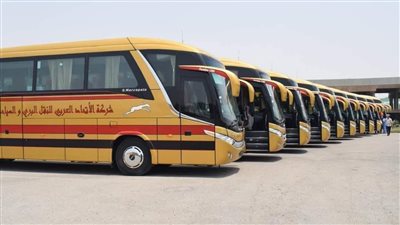 أماكن ومواعيد الأتوبيسات المجانية لنقل جماهير مباراة مصر وكرواتيا 