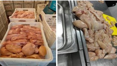 ضبط 104 كجم لحوم ودواجن ورنجة غير صالحة للاستهلاك بالغربية 