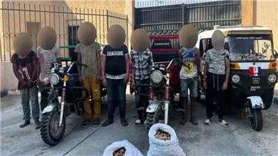 التحقيق مع المتهمين في واقعة سرقة البطاطس من سيارات النقل بالقليوبية