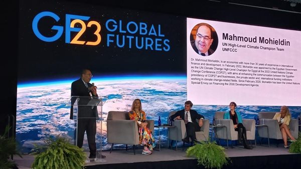 محمود محيي الدين