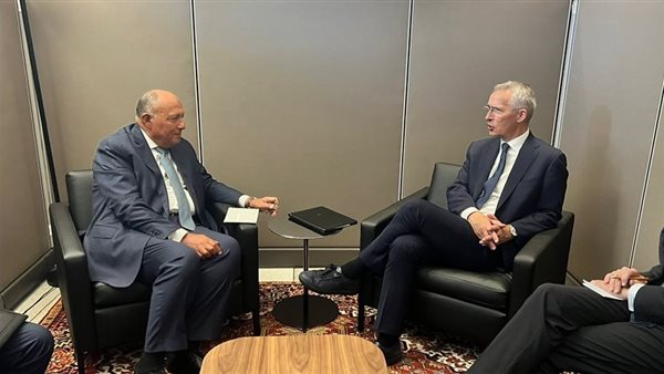 شكري يلتقي سكرتير