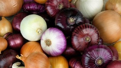 سعر كيلو البصل اليوم في مصر بعد السماح بالتصدير مرة أخرى