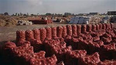 الجمارك تلغي تعليماتها بشأن وقف تصدير البصل لحين إشعار آخر| بث مباشر 
