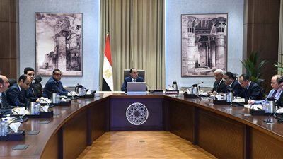 بشرى سارة من الحكومة.. 15 جنيها تراجعا في أسعار الفراخ المجمدة بالأسواق 