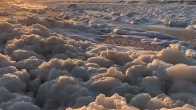 ظهور زبد البحر من جديد على شاطئ بورسعيد | بث مباشر