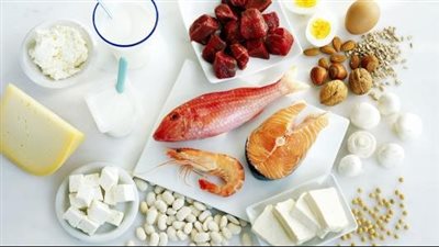 أكلات فيها بروتين.. أكثر 10 أطعمة غنية بالبروتينات وتناسب الرجيم