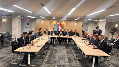 وزير الخارجية يشارك في اجتماع آلية التعاون الثلاثية بين مصر والأردن والعراق | صور