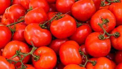 شعبة الخضراوات: تراجع أسعار الطماطم لهذا السبب 