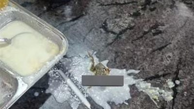 طالب هندي يعثر على ضفدع ميت في وجبة طعام جامعية 