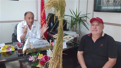 زراعة الأرز سوبر 300 لأول مرة في بورسعيد | صور