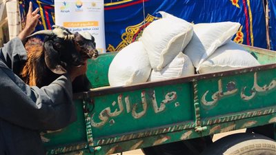 لتمكينهم اقتصاديًا.. فرصة يسلم 44 مشروعا لمستفيدي تكافل وكرامة في القليوبية