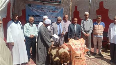 محافظ المنيا: تسليم 128 رأس ماشية بقرية ماقوسة ضمن برنامج فرصة