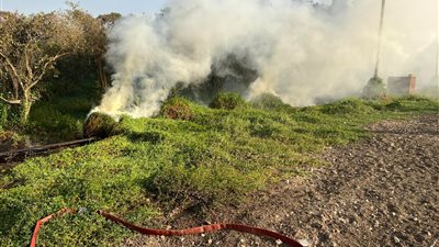 دون خسائر.. الحماية المدنية بالقليوبية تسيطر على حريق نشب بأرض زراعية | صور