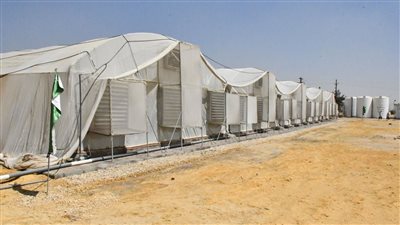 محافظ الفيوم يتفقد أول صوبة زراعية تعمل بنظام التحكم عن بعد