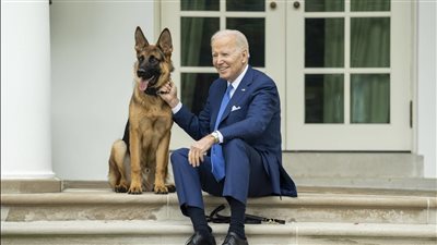 كلب بايدن يعض ضابطا بالمخابرات الأمريكية وهو مرتدٍ زيه العسكري في البيت الأبيض
