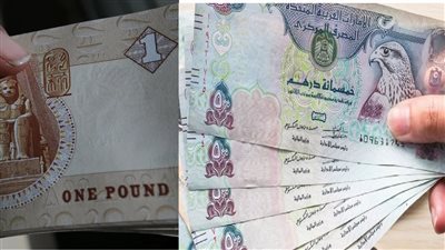 سعر الدرهم الإماراتي مقابل الجنيه المصري اليوم الجمعة 29 سبتمبر 2023