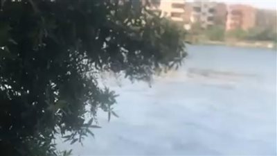 سقط من يد والدته.. استمرار البحث عن رضيع الدقهلية الغارق بإحدى الترع | بث مباشر