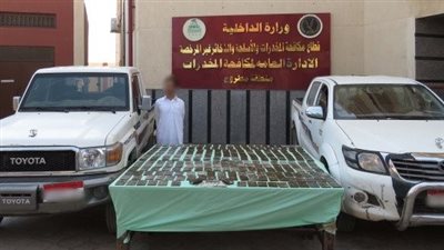 ضبط عناصر إجرامية بتهمة الإتجار بالمخدرات في مطروح والدقهلية