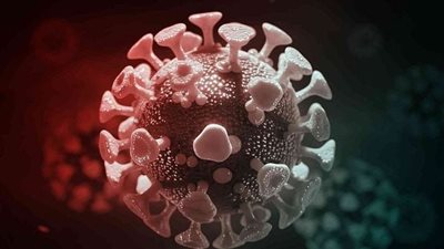 لوقاية الطلاب من الفيروس المخلوي.. توجيه عاجل من الصحة للمنشآت التعليمية