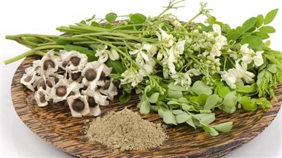 5 أعشاب بإمكانها المساعدة في إدارة مستويات السكر بالدم.. تعرف عليها 