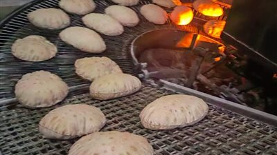 ضبط 12 مخالفة والتحفظ على 1000 عبوة مذيب خلال حملات تموينية بالدقهلية