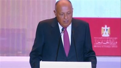 شكري: السياسة الخارجية تستهدف دعم المواطن المصري وتحقيق استقراره