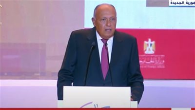 وزير الخارجية: مصر بقيادة السيسي تمكنت من بناء علاقات متوازنة مع جميع الاتجاهات 