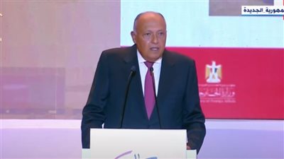وزير الخارجية: مصر كانت في الصدارة للدفاع عن الحقوق المشروعة للشعب الفلسطيني