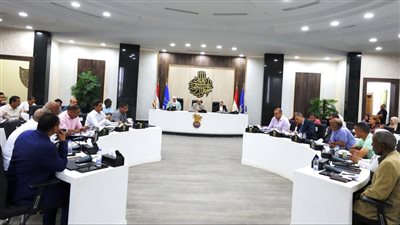 محافظ أسوان: التنسيق بين جميع الجهات لإنجاح الانتخابات الرئاسية وخروجها بالشكل اللائق والمشرف