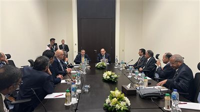 وزير التجارة: مصر تقدر الخبرات الكبيرة للمطورين العقاريين بدولة الهند