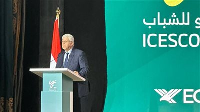 وزير التعليم العالي: مصر تقدم 100 منحة للطلاب المبتكرين في العالم العربي والإسلامي
