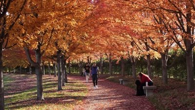 النساء اللاتي يعشن في أحياء يمكن المشي فيها أقل عرضة للإصابة بالسرطان | دراسة