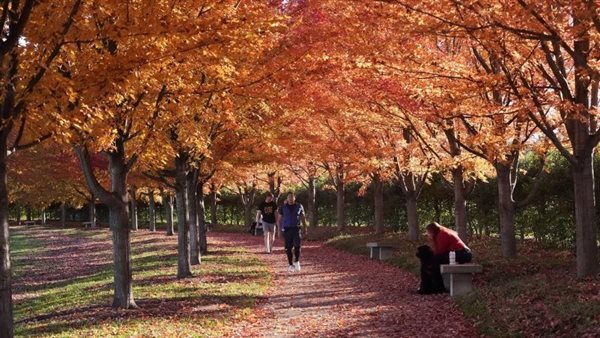 صورة تعبيرية 