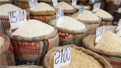 عايزين اللي يشتري الأرز.. الشعبة تعلن توقف عدد من المضارب لعدم وجود استهلاك