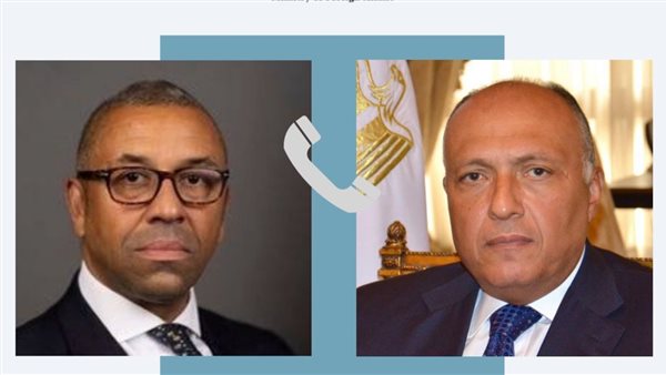 سامح شكري ونظيره