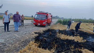 لجان مرورية لمنع الحرق المكشوف للمخلفات الزراعية مع بدء موسم حصاد الأرز بالبحيرة