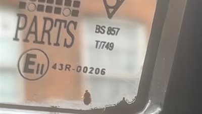 بعد غزوه لفرنسا.. رصد بق الفراش على ساق راكب في مترو لندن