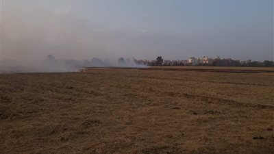 محافظ الدقهلية: تحرير 295 محضر حرق قش الأرز واتخاذ الإجراءات القانونية حيال المخالفين 