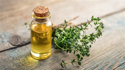 فوائد الزعتر.. 7 منافع صحية لا تفوتك عند تناول شاي الزعتر