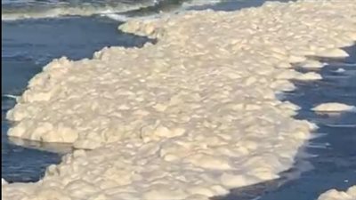 ذُكرت في القرآن الكريم.. استمرار ظهور زبد البحر على شواطئ بورسعيد | بث مباشر 