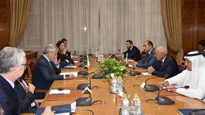 أبو الغيط يستقبل وزيري خارجية إيطاليا وليتوانيا.. ويؤكد ضرورة وقف الحرب في غزة بأقرب وقت