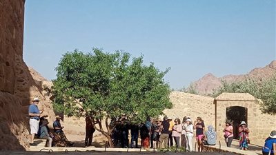 سانت كاترين تستقبل 615 سائحا من عدة جنسيات لزيارة المعالم التاريخية| صور