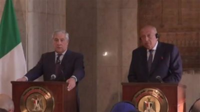 وزير الخارجية: مصر ستستمر في توفير كل الدعم الإنساني للأشقاء الفلسطينيين | بث مباشر