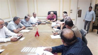 تشكيل لجنة للتأكد من استيفاء المعديات النهرية شروط الترخيص بالبحيرة