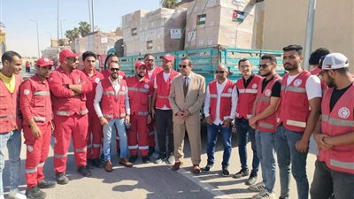 وصول 12 طن مساعدات وأدوية من الأردن إلى شمال سيناء تمهيدا لدخولها غزة